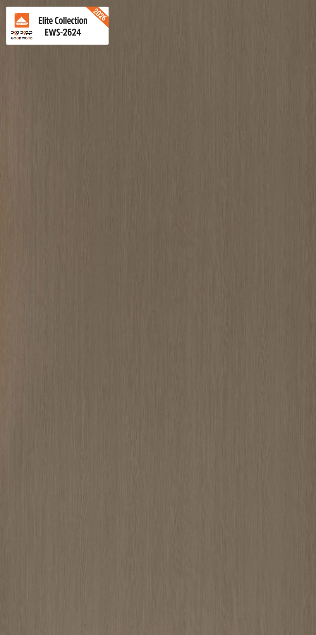 لوح إيليت EWS-2624