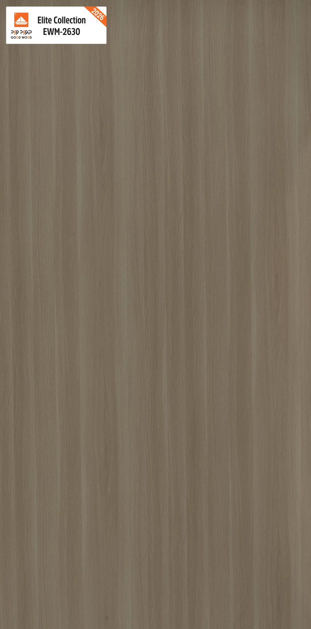 لوح إيليت EWM-2630