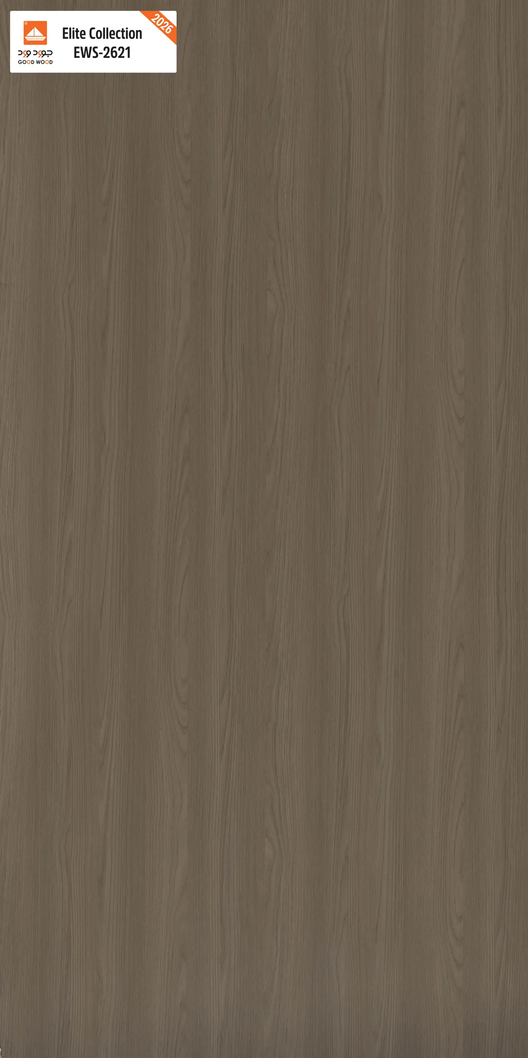 لوح إيليت EWS-2621